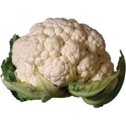 زهرة 1 حبة