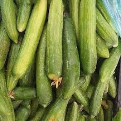 خيار بلدي 1 كغم