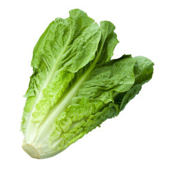 خس حبة واحدة